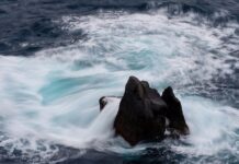 Dlaczego ceny obligacji spadają? Dlaczego ceny obligacji spadają?