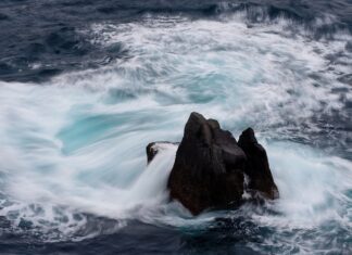 Dlaczego ceny obligacji spadają? Dlaczego ceny obligacji spadają?