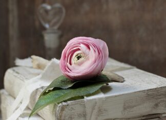 Jak obliczyć Zobowiązania krótkoterminowe? Jak obliczyć Zobowiązania krótkoterminowe?