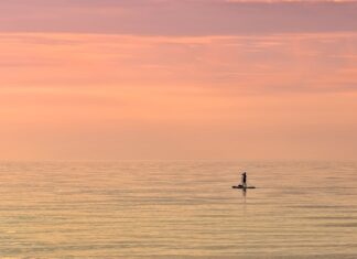 Jak obliczyć trend liniowy Excel? Jak obliczyć trend liniowy Excel?