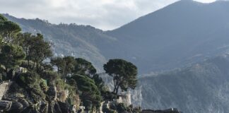 Ile kosztuje miesiąc Tutlo? Ile kosztuje miesiąc Tutlo?