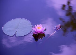 Czy medytacja to modlitwa?